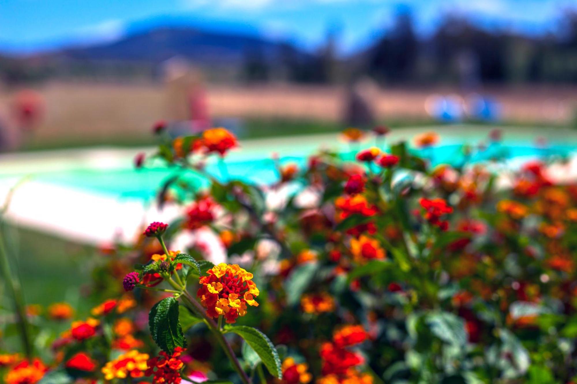 Agriturismo Piperedda Irgoli Luaran gambar